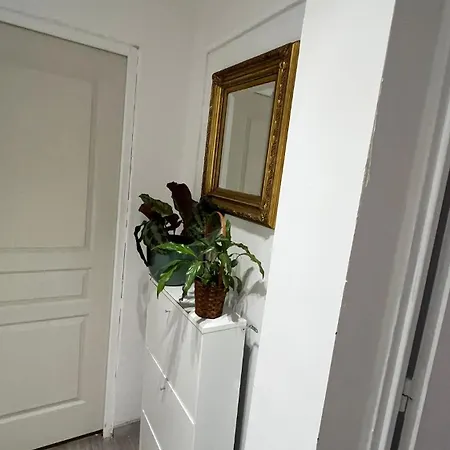 T3 Cosy Situe Au Centre-ville *